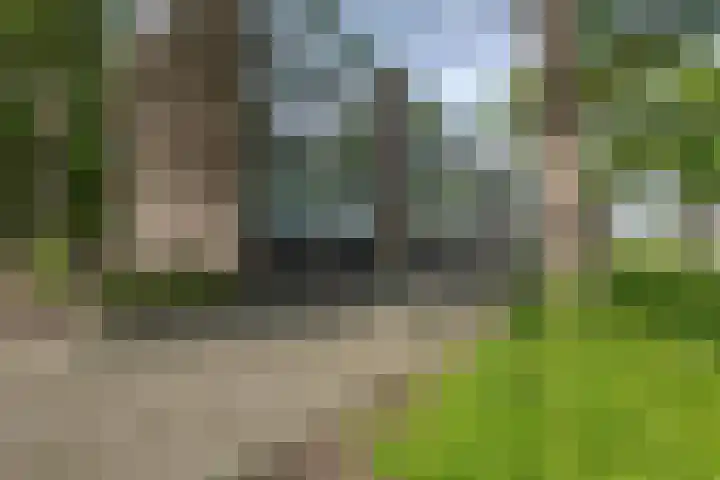 Van Wijngaardenlaan 18 Rotterdam thumbnail 24