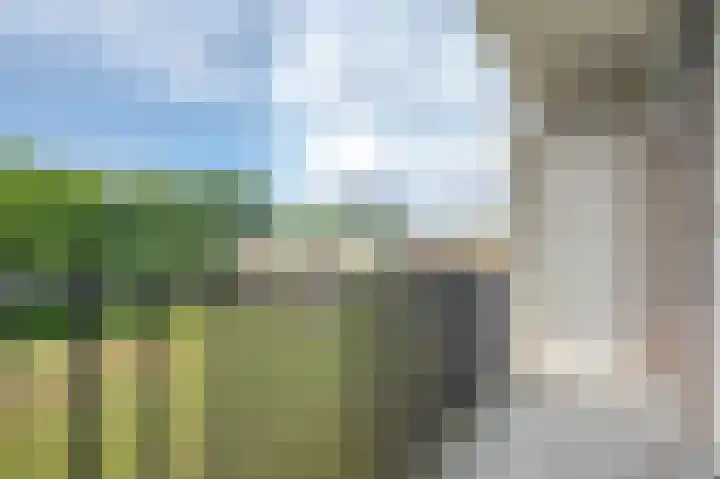 Van Wijngaardenlaan 18 Rotterdam thumbnail 4