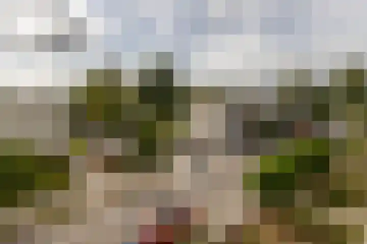 Van Wijngaardenlaan 57 Rotterdam thumbnail 16