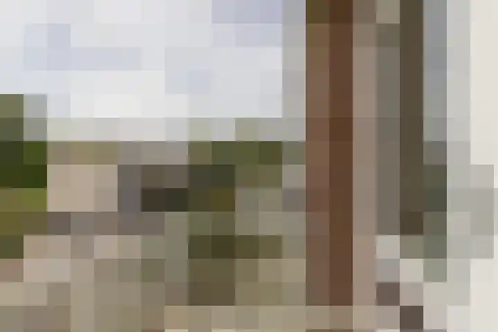Van Wijngaardenlaan 57 Rotterdam thumbnail 17