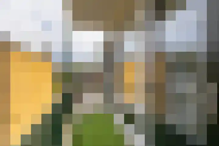 Van Wijngaardenlaan 57 Rotterdam thumbnail 33