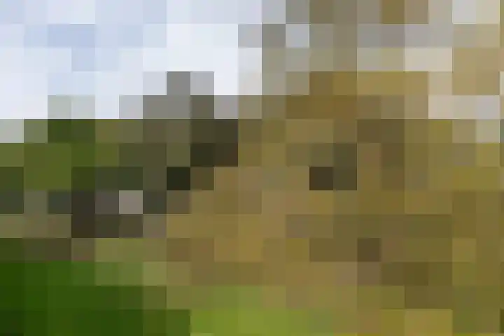 Van Wijngaardenlaan 57 Rotterdam thumbnail 34