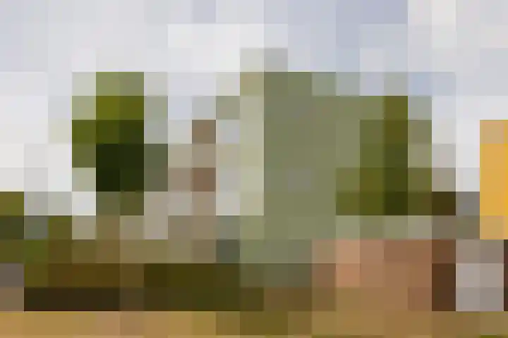 Van Wijngaardenlaan 57 Rotterdam thumbnail 37
