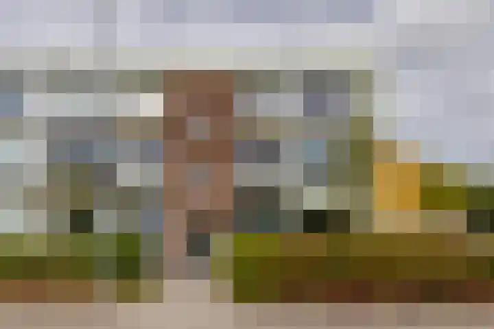 Van Wijngaardenlaan 57 Rotterdam thumbnail 39