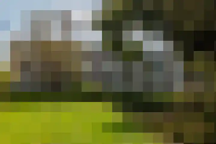 Van Wijngaardenlaan 57 Rotterdam thumbnail 42