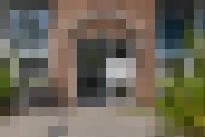 Van Wijngaardenlaan 57 Rotterdam thumbnail 5