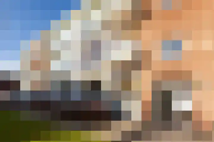 Van Wijngaardenlaan 73 Rotterdam thumbnail 6