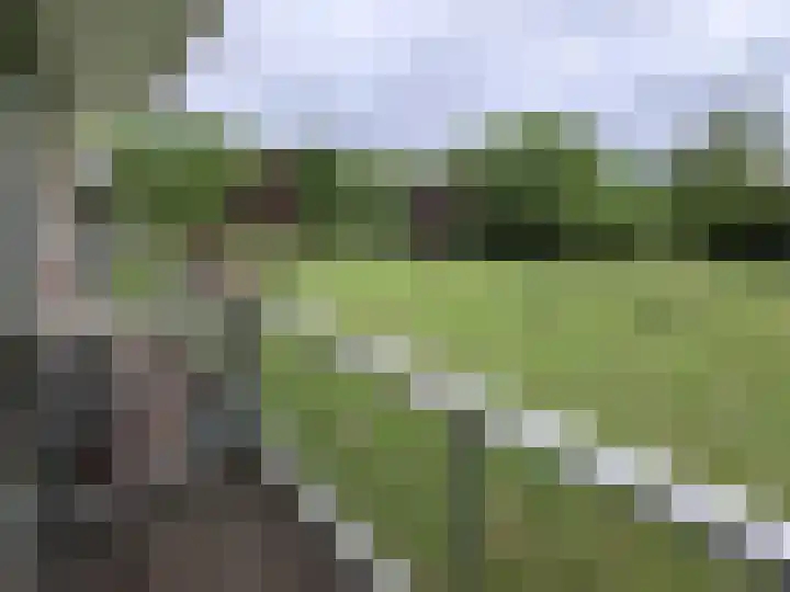 Van Wijngaardenlaan 89 Rotterdam thumbnail 15