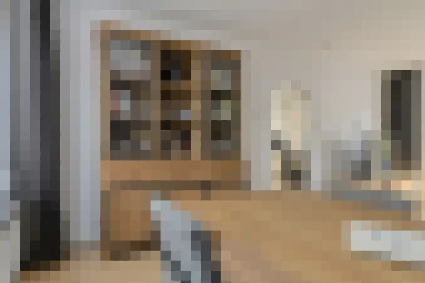 van Wijngaardenstraat 11 Raamsdonksveer thumbnail 21