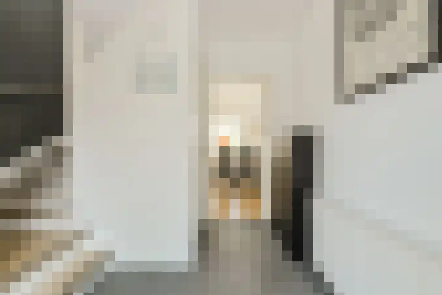 van Wijngaardenstraat 11 Raamsdonksveer thumbnail 26