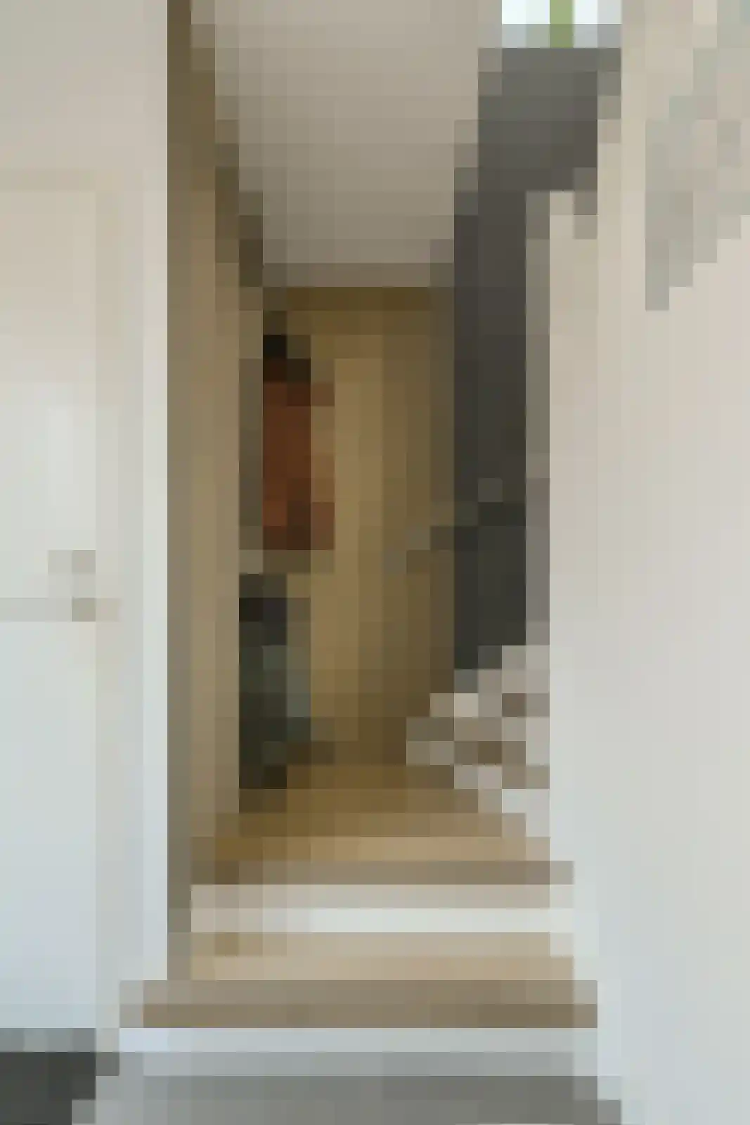 van Wijngaardenstraat 11 Raamsdonksveer thumbnail 27