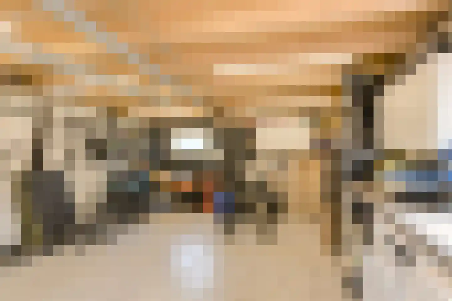 van Wijngaardenstraat 11 Raamsdonksveer thumbnail 57