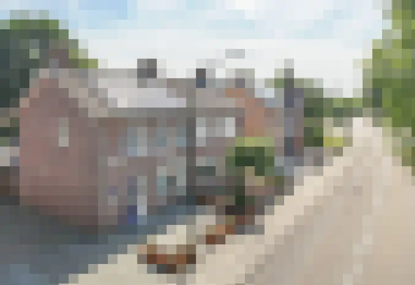 van Wijngaardenstraat 11 Raamsdonksveer thumbnail 7