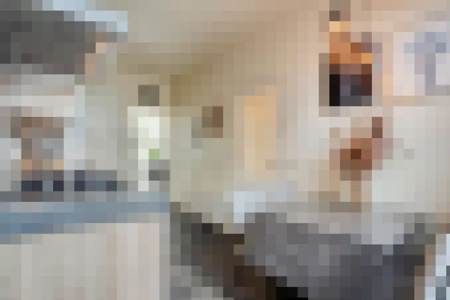 Van Wijngaardenstraat 15 Rijssen thumbnail 11