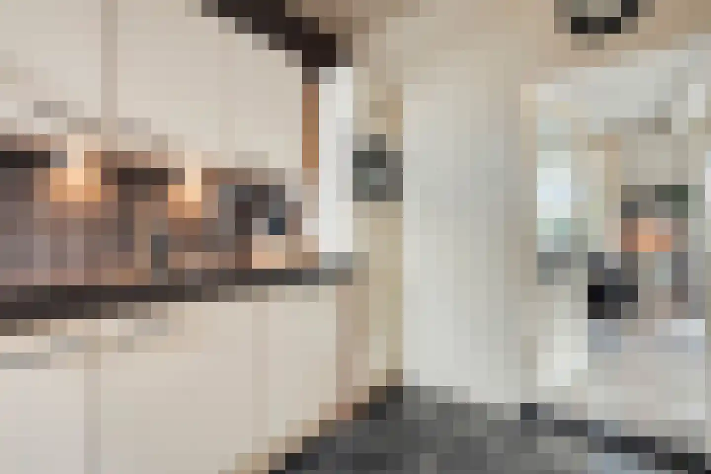 Van Wijngaardenstraat 15 Rijssen thumbnail 17