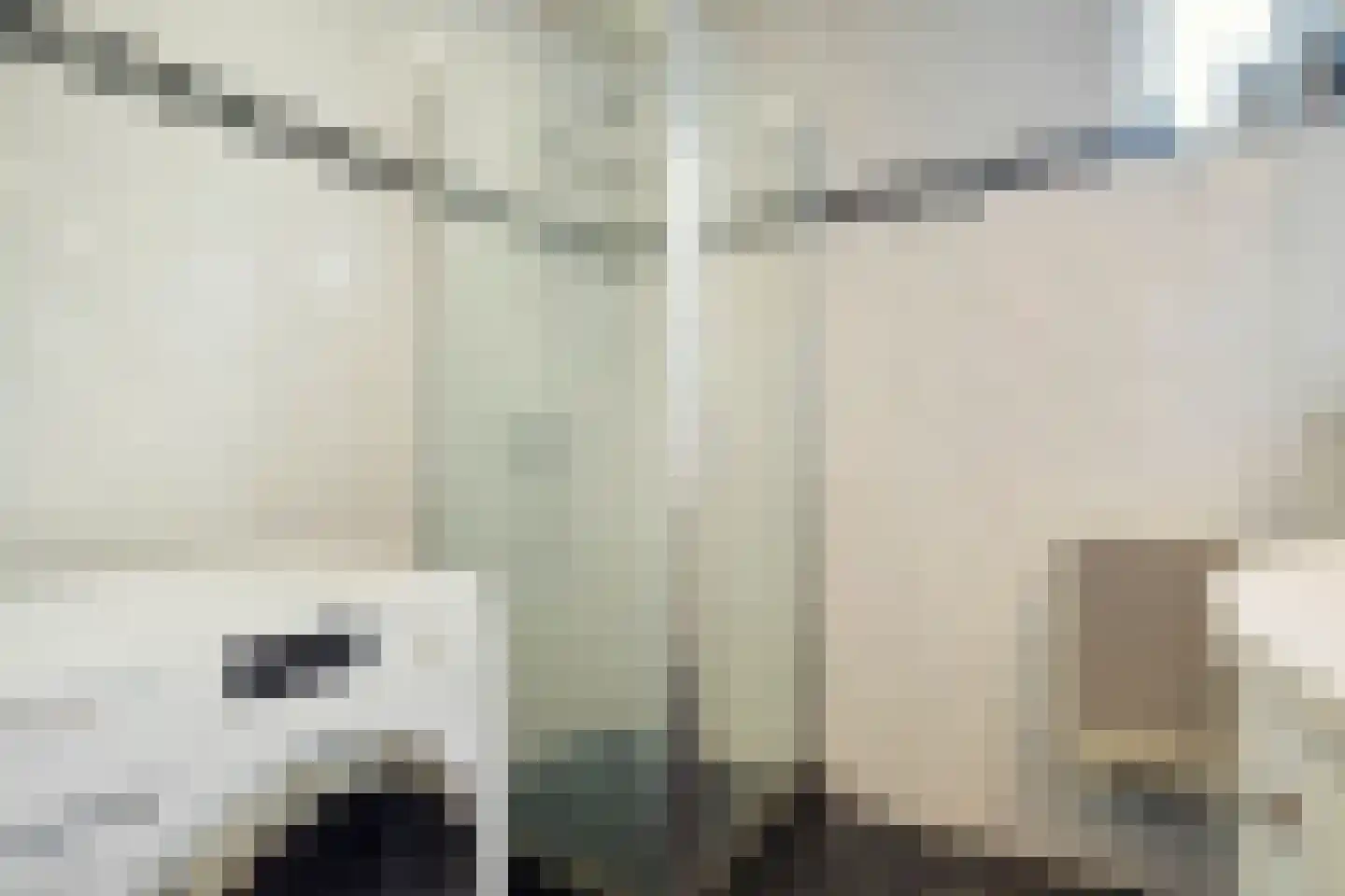 Van Wijngaardenstraat 15 Rijssen thumbnail 22