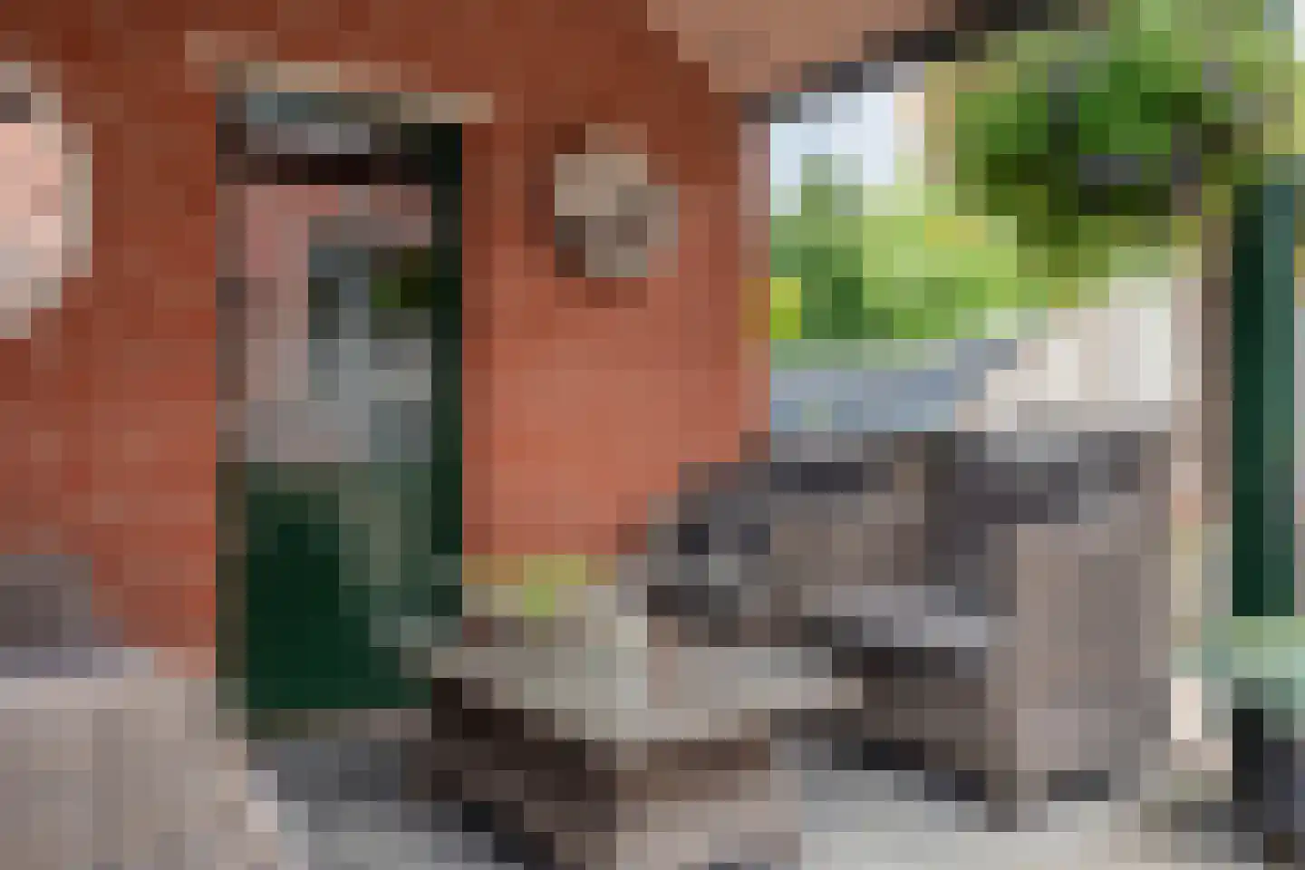 Van Wijngaardenstraat 15 Rijssen thumbnail 39
