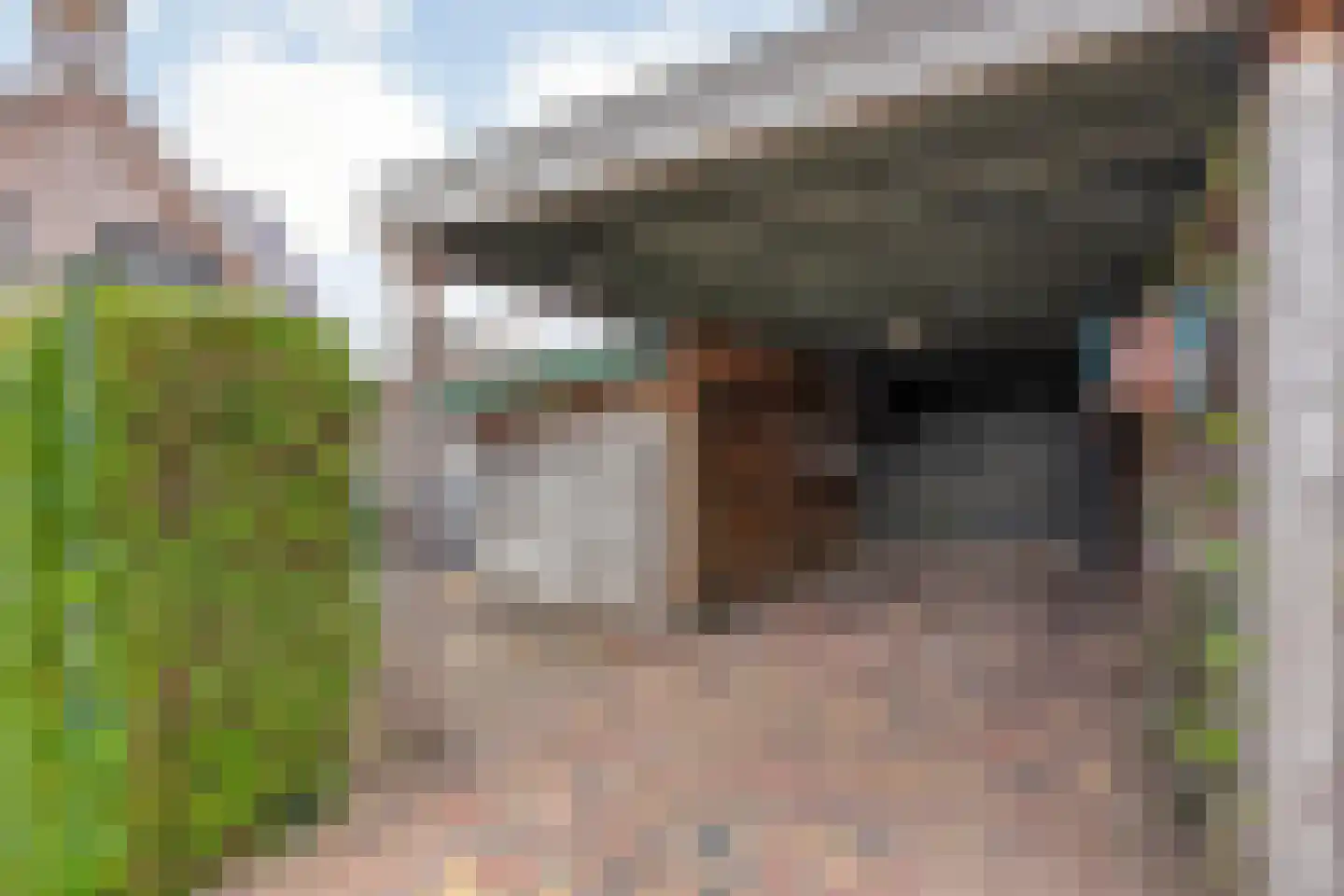 Van Wijngaardenstraat 15 Rijssen thumbnail 47