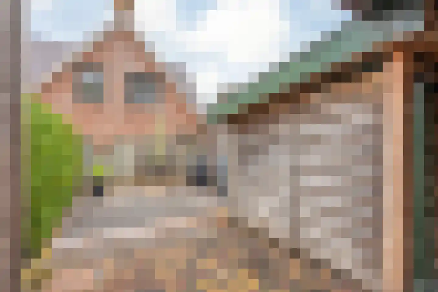 Van Wijngaardenstraat 15 Rijssen thumbnail 49
