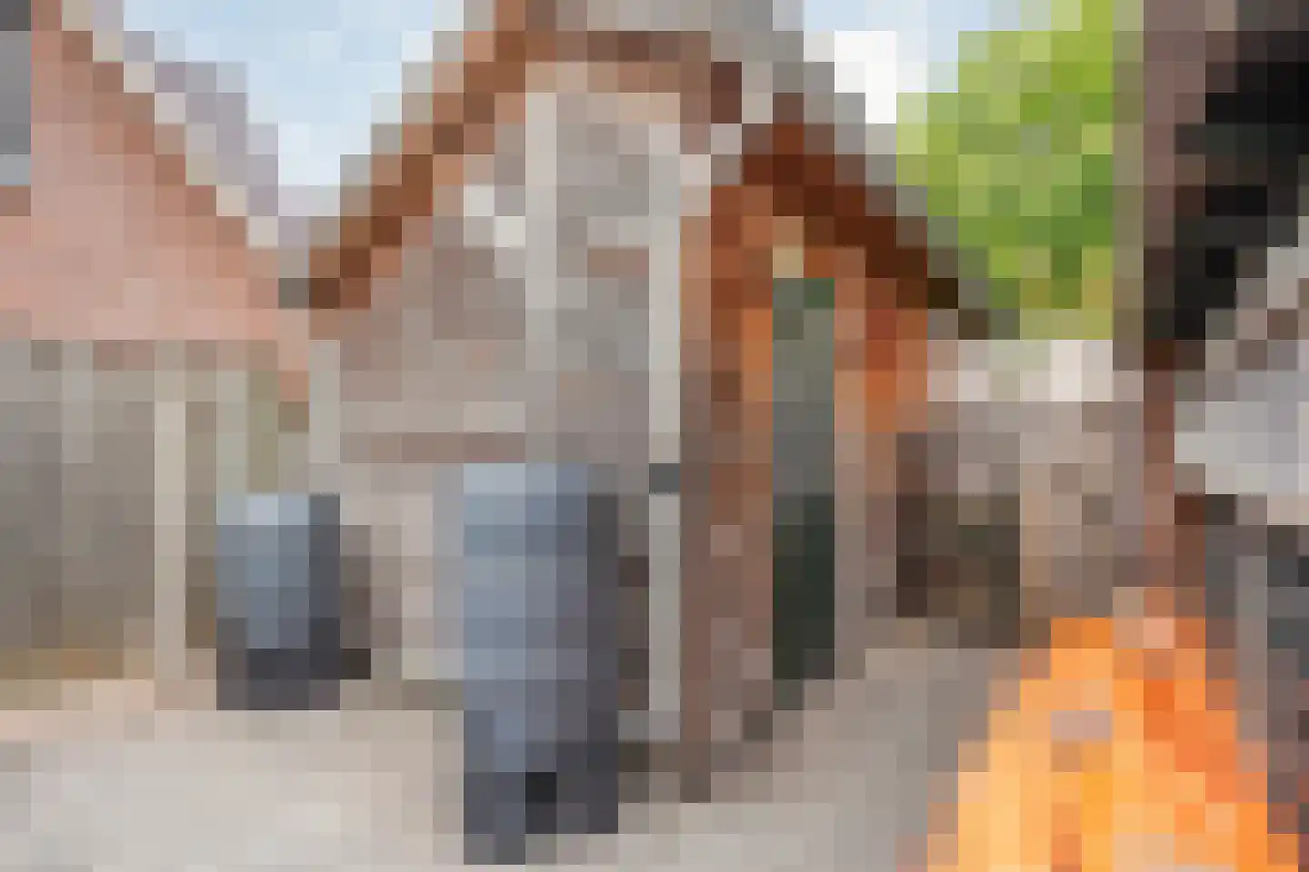 Van Wijngaardenstraat 15 Rijssen thumbnail 51