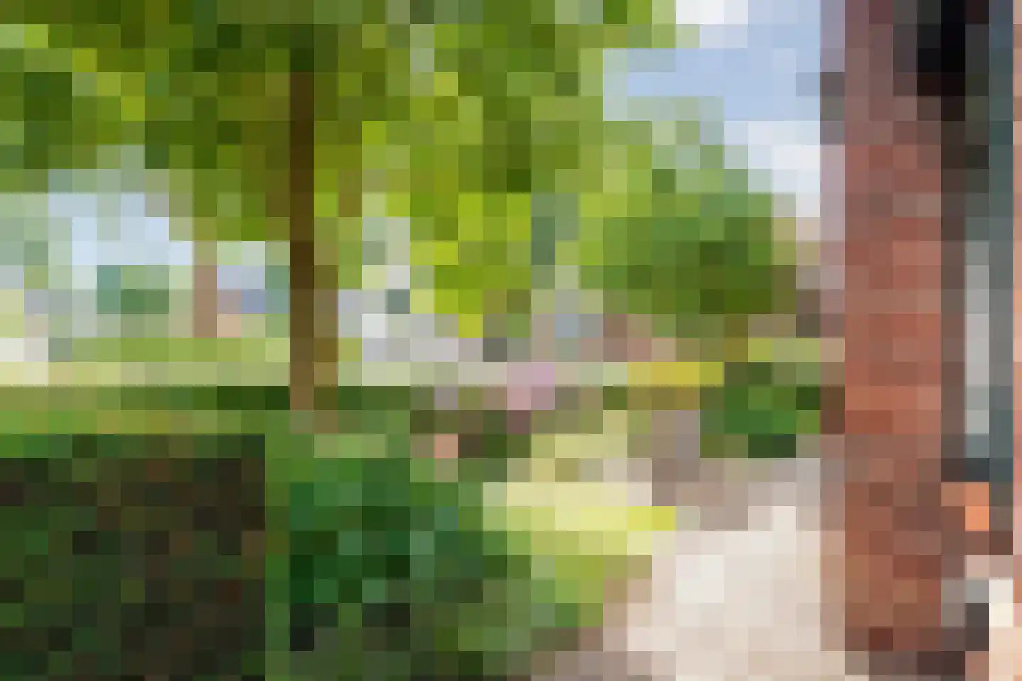 Van Wijngaardenstraat 15 Rijssen thumbnail 54