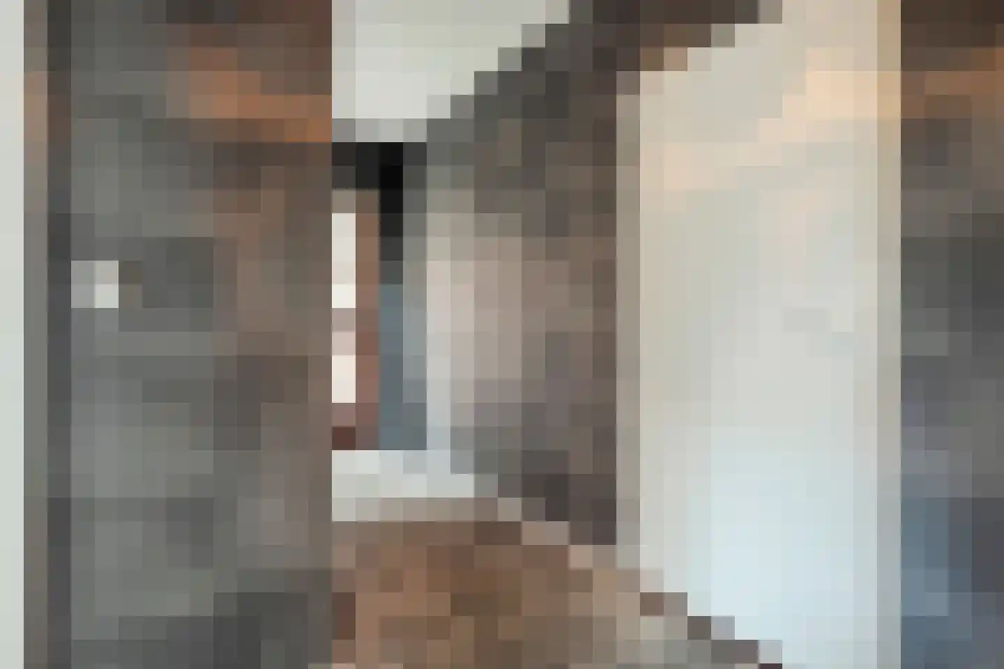 Van Wijngaardenstraat 15 Rijssen thumbnail 68