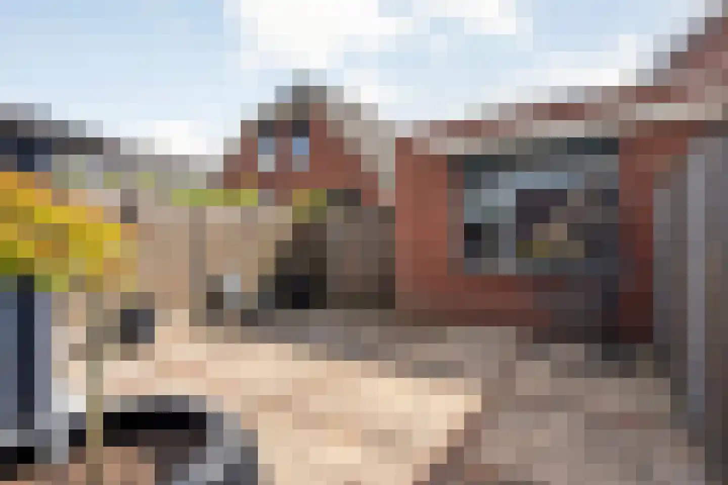 Van Wijngaardenstraat 15 Rijssen thumbnail 75