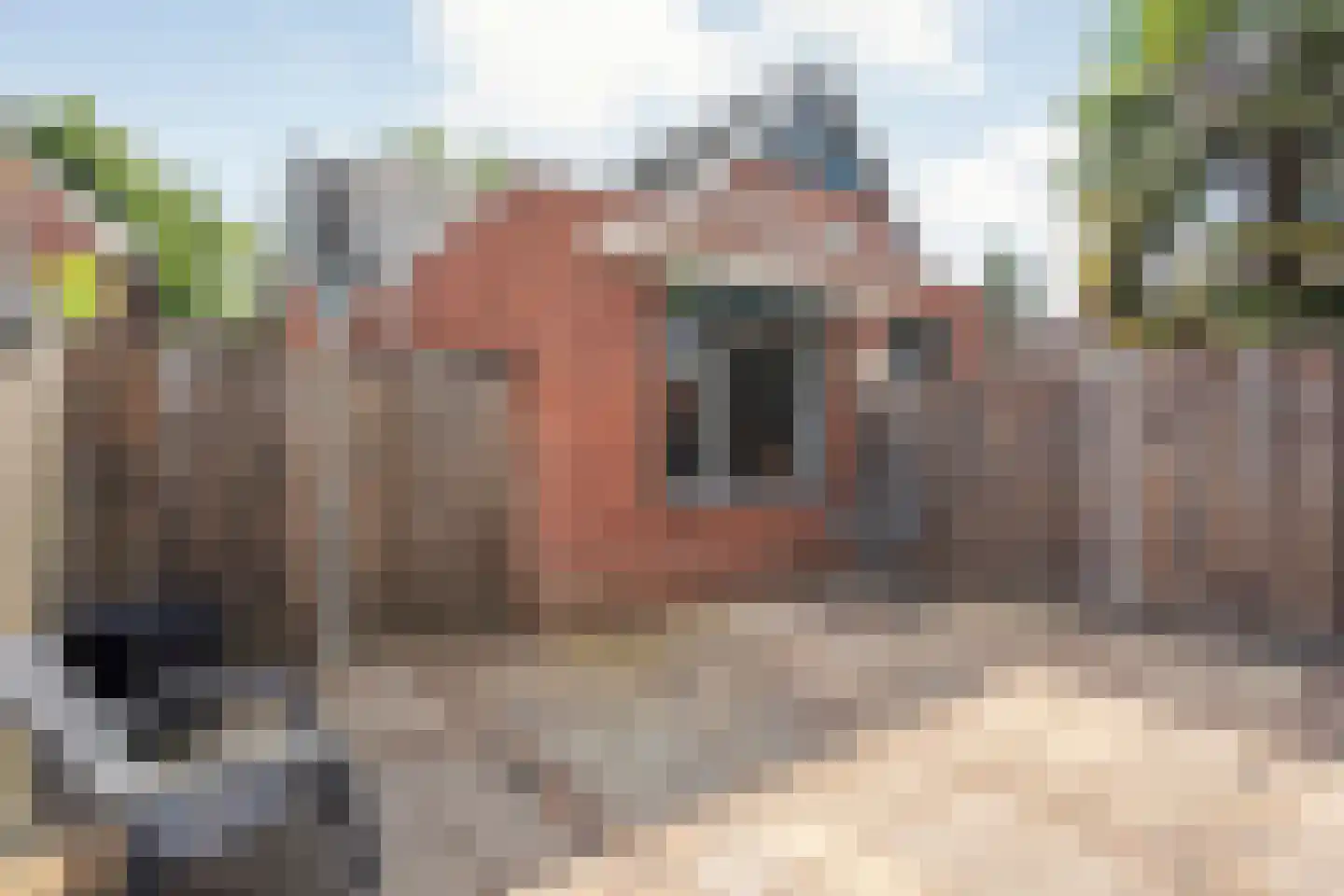 Van Wijngaardenstraat 15 Rijssen thumbnail 78