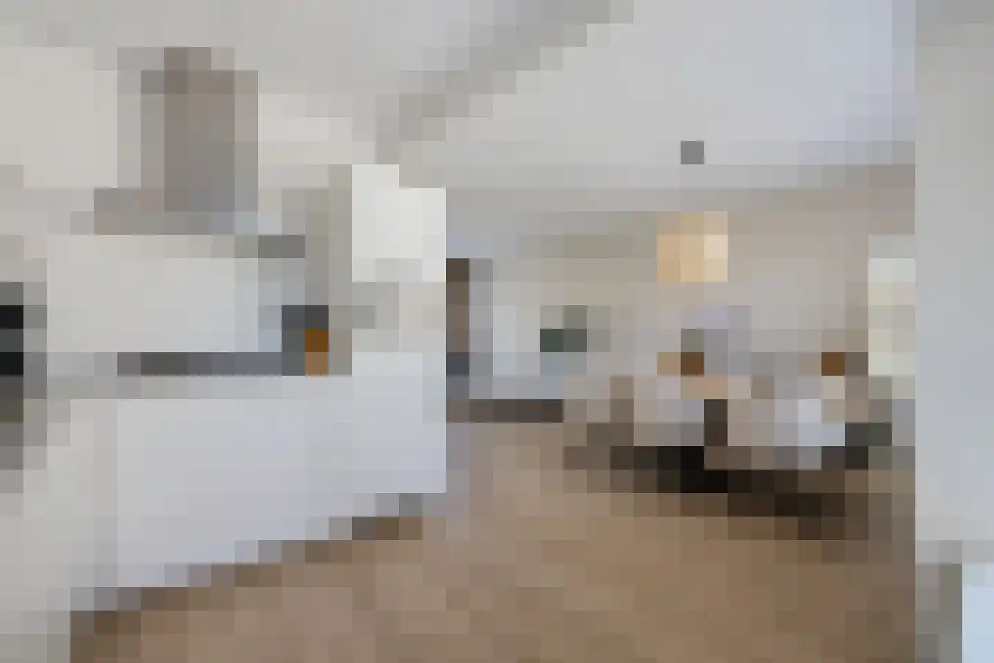 van Wijngaardenstraat 30 St.-Jacobiparochie thumbnail 11