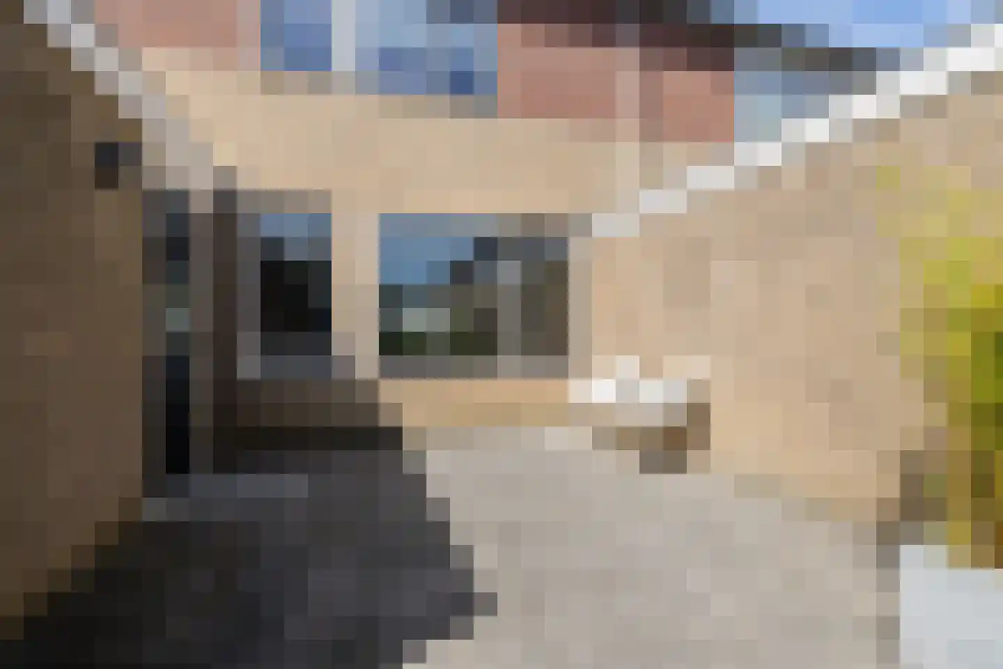 van Wijngaardenstraat 30 St.-Jacobiparochie thumbnail 34