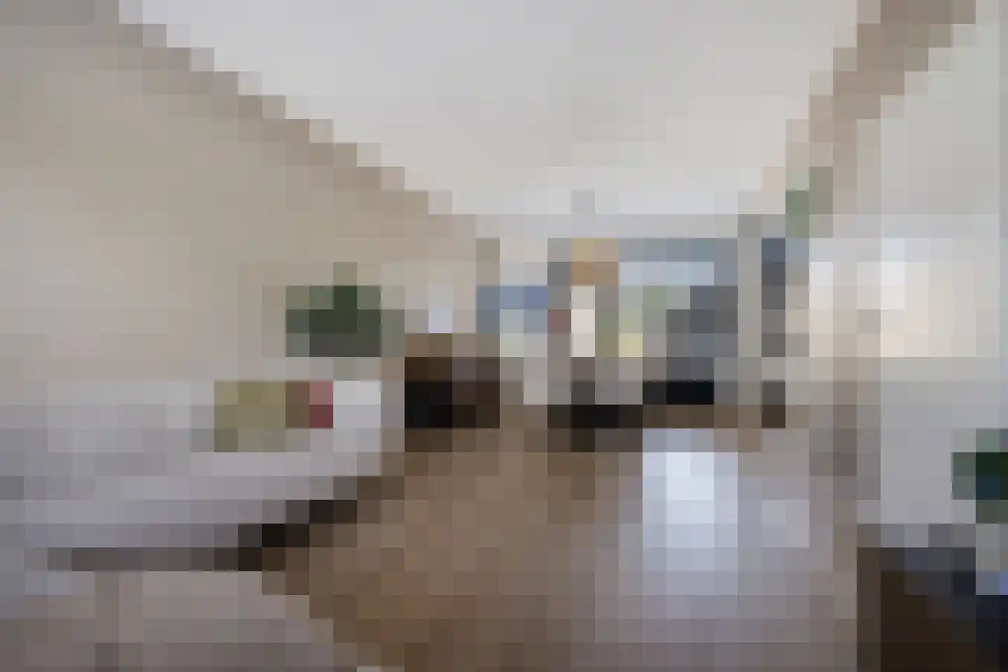 van Wijngaardenstraat 30 St.-Jacobiparochie thumbnail 4