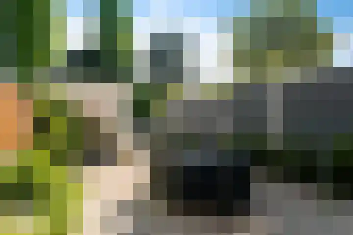 Van Wijngaardenstraat 48 Zoetermeer thumbnail 13