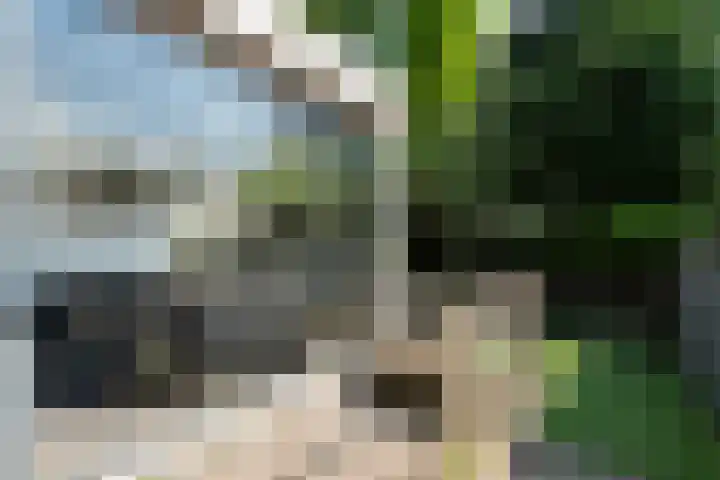 Van Wijngaardenstraat 48 Zoetermeer thumbnail 16