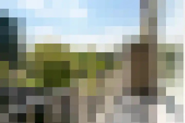 Van Wijngaardenstraat 48 Zoetermeer thumbnail 28