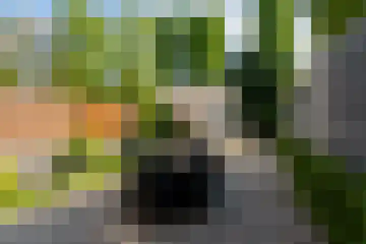 Van Wijngaardenstraat 48 Zoetermeer thumbnail 4