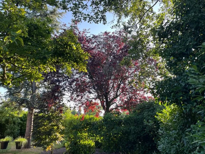 Van Wijngaardenstraat 55 Zoetermeer thumbnail 51
