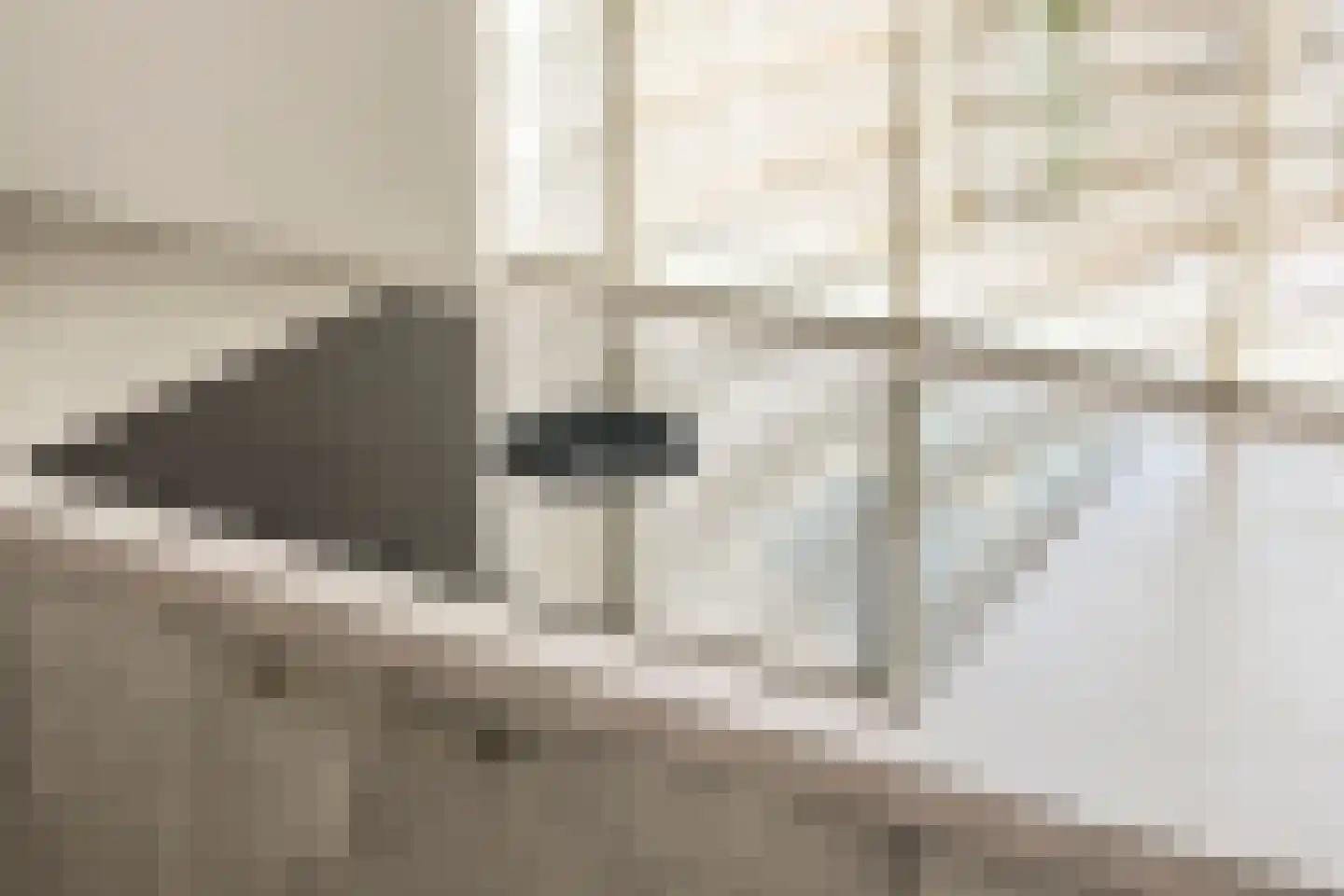 Van Wijngaardestraat 8 Oosterhout thumbnail 12