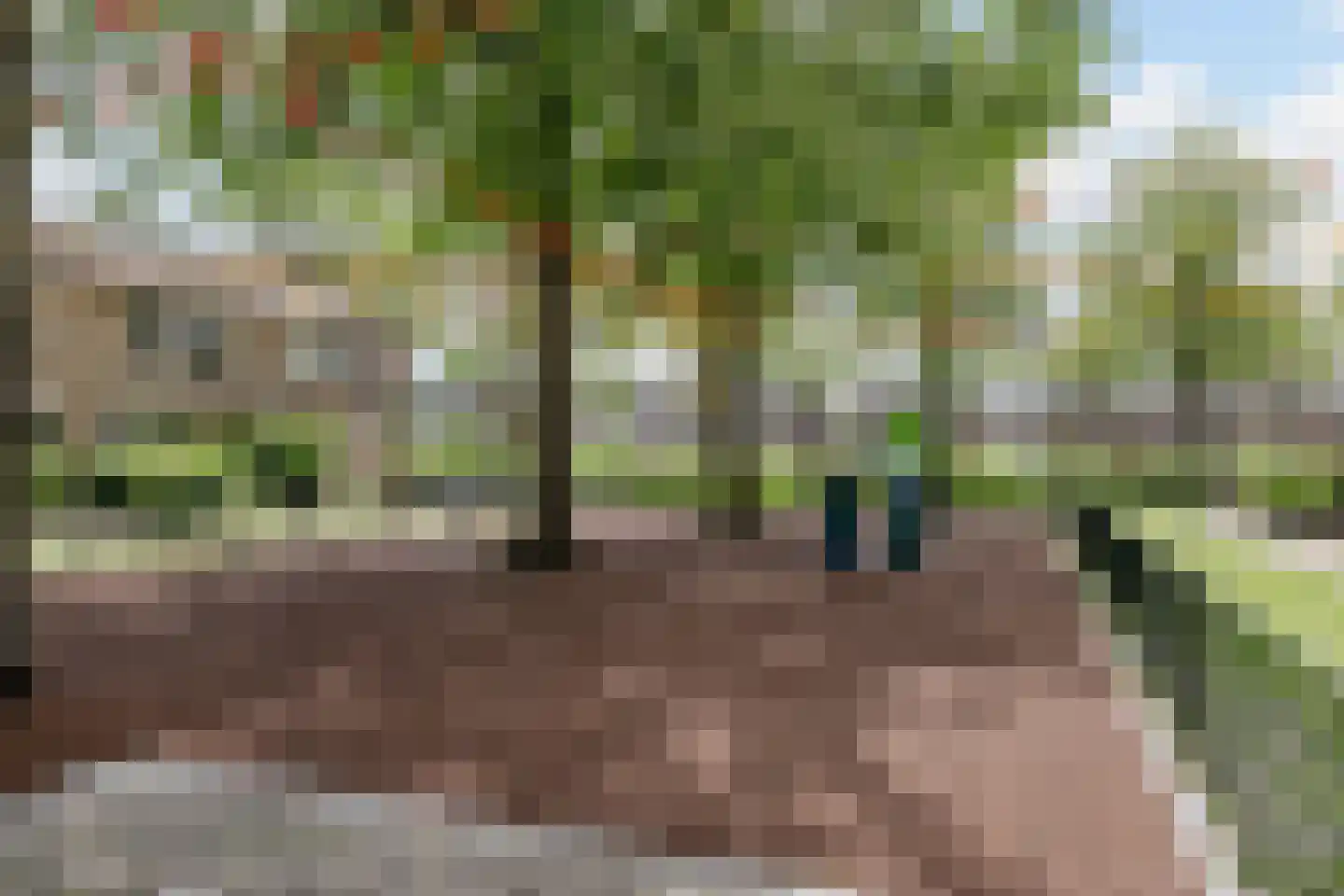 Van Wijngaardestraat 8 Oosterhout thumbnail 33