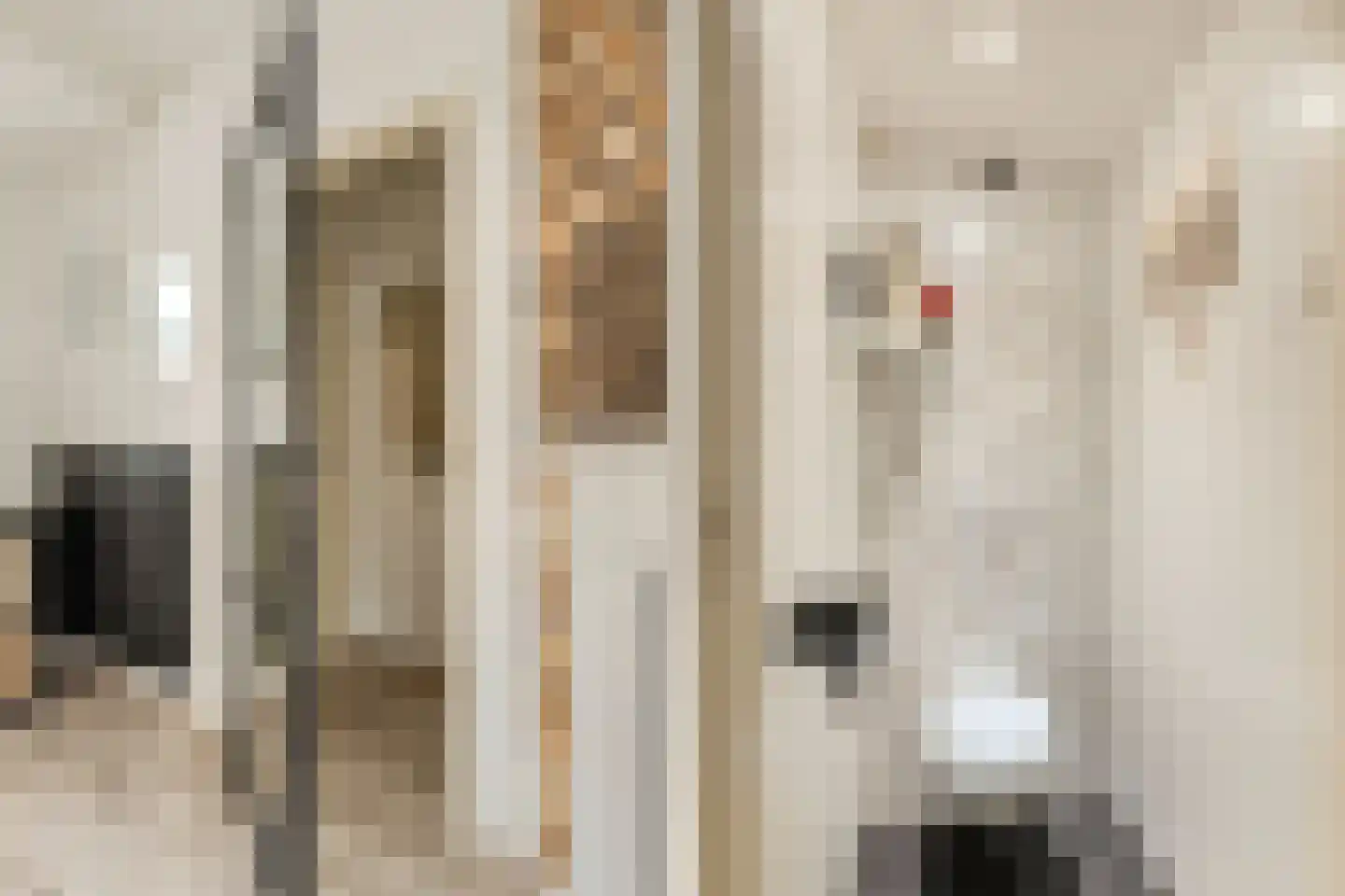 Van Wijngaardestraat 8 Oosterhout thumbnail 4