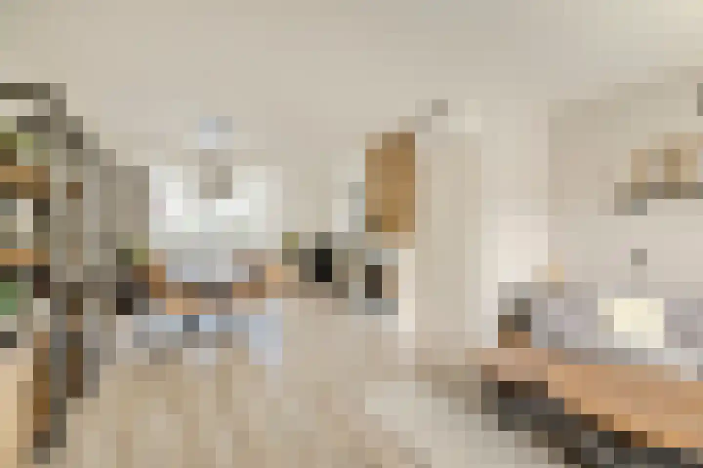 Van Wijngaardestraat 8 Oosterhout thumbnail 5