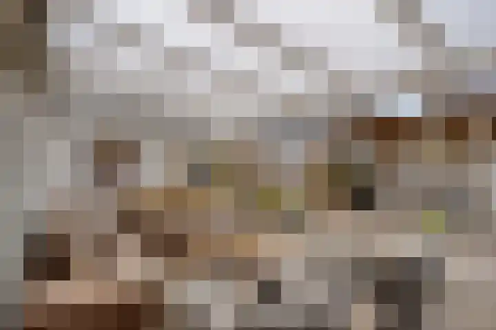 van Wisstraat 16 Helden thumbnail 25