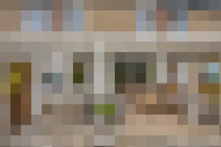 van Wisstraat 16 Helden thumbnail 27