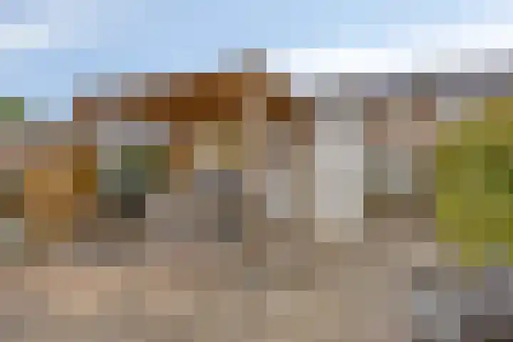 van Wisstraat 16 Helden thumbnail 28