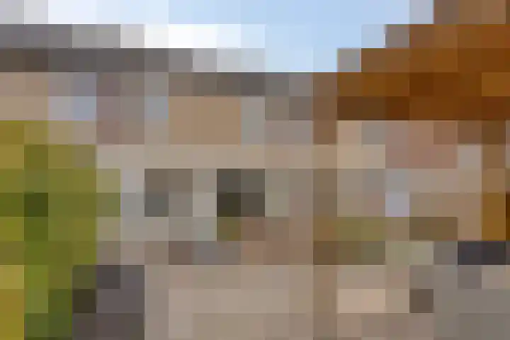 van Wisstraat 16 Helden thumbnail 29