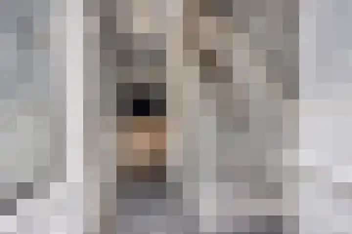 van Wisstraat 16 Helden thumbnail 5
