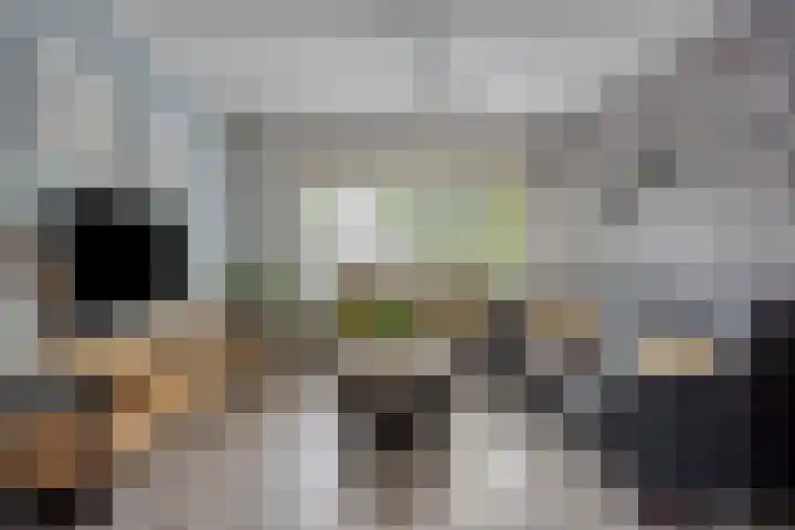 van Wisstraat 16 Helden thumbnail 7
