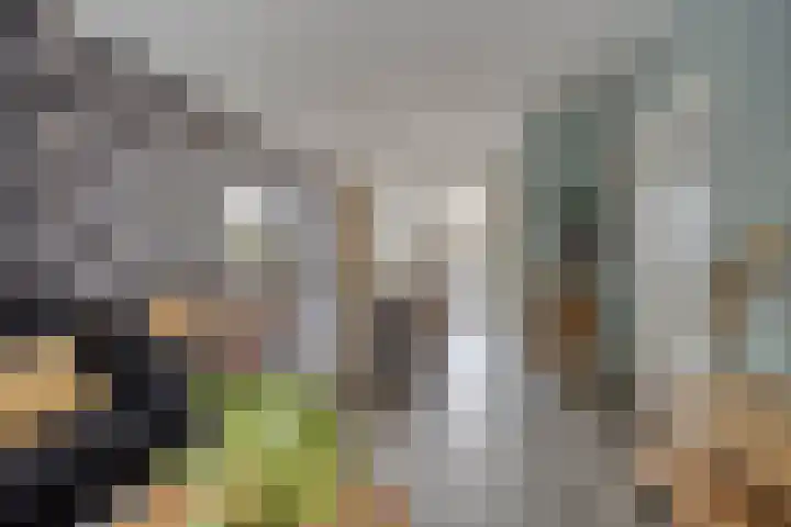 van Wisstraat 16 Helden thumbnail 9