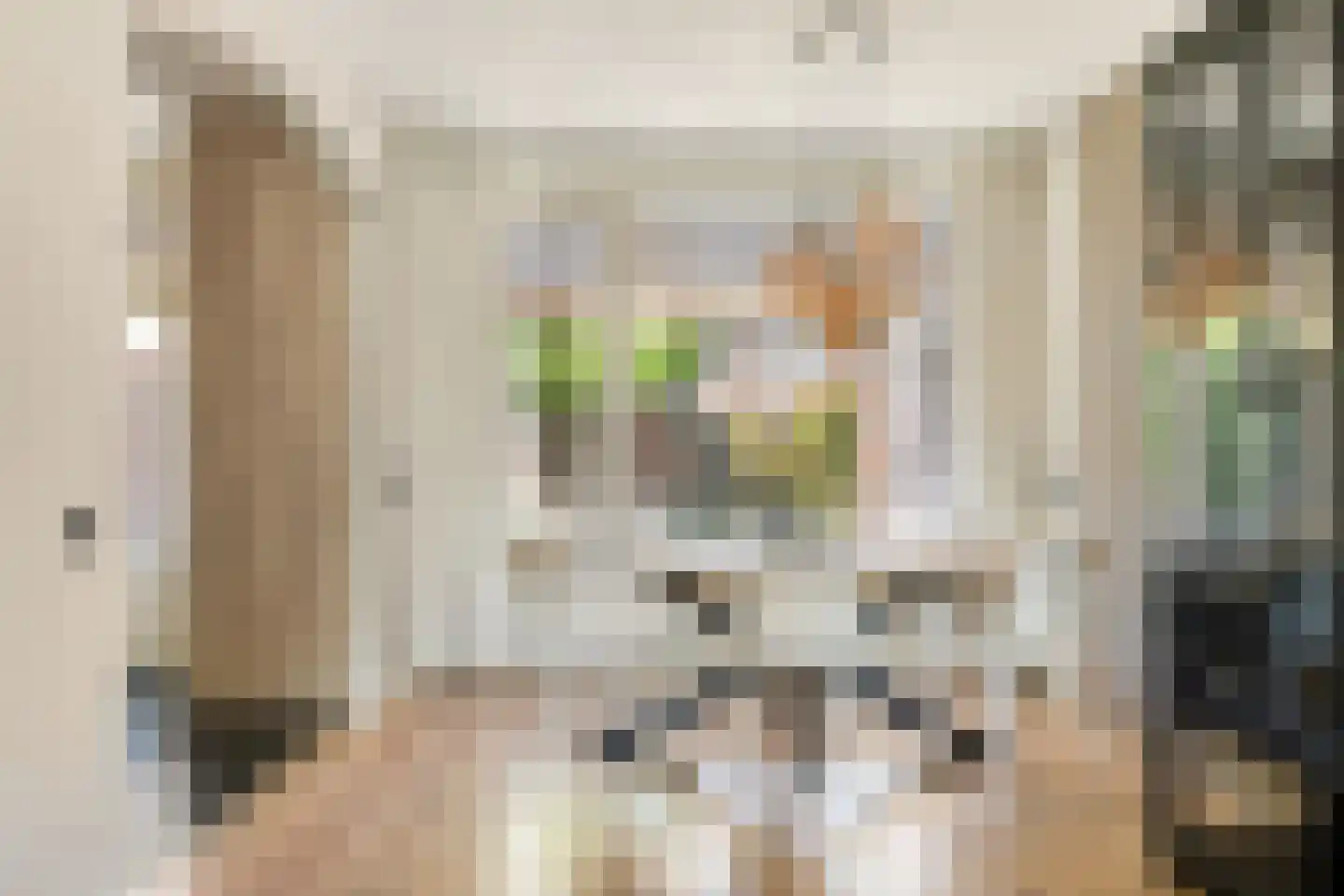 van Wisstraat 26 Helden thumbnail 11