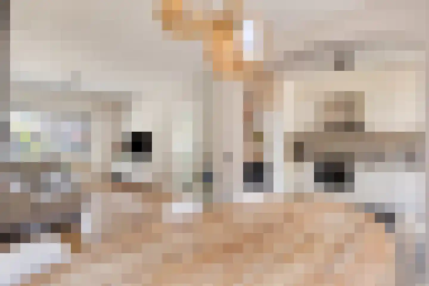 van Wisstraat 26 Helden thumbnail 13