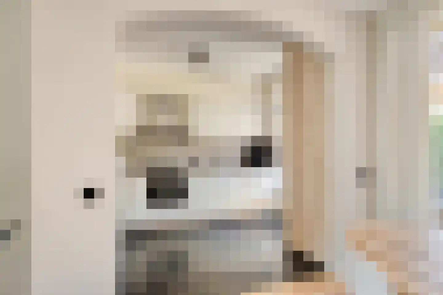 van Wisstraat 26 Helden thumbnail 14